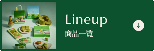 Lineup 商品一覧