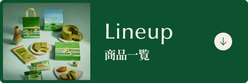 Lineup 商品一覧