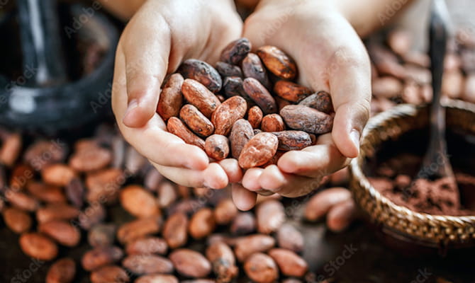 CACAO