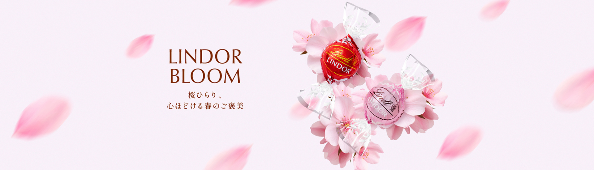 スプリングギフト