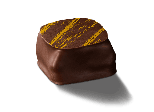DARK 70% COCOA PRALINÉ