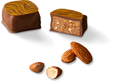 MILK ALMOND NOUGATINE PRALINÉ