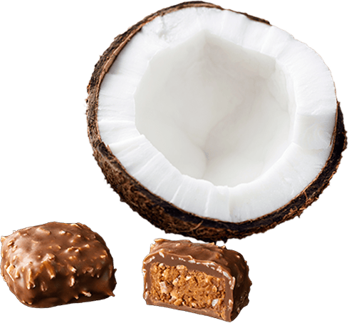 MILK COCONUT PRALINÉ