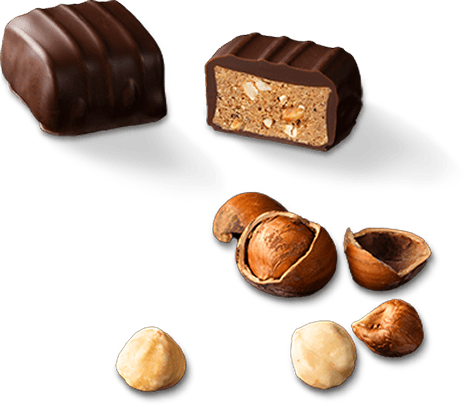 DARK HAZELNUT PRALINÉ