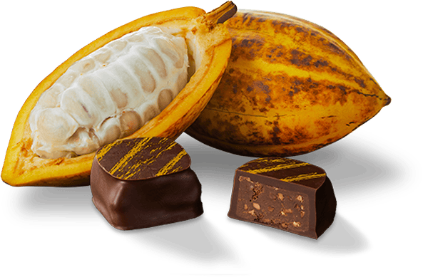 DARK 70% COCOA PRALINÉ