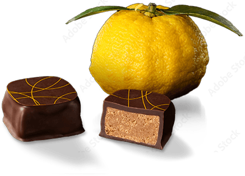 DARK YUZU PRALINÉ