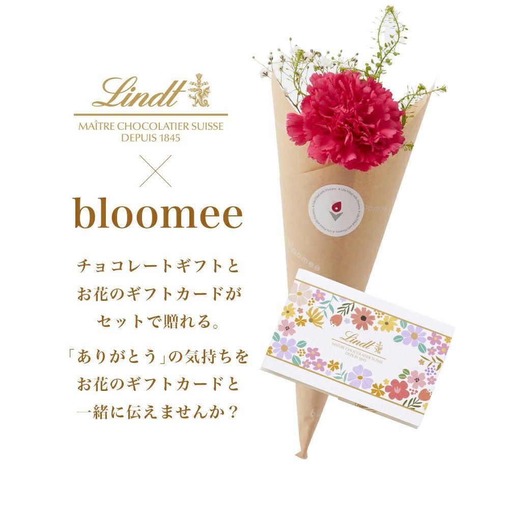 リンドールギフトボックス 8個入 × ブルーミーギフトカードセット