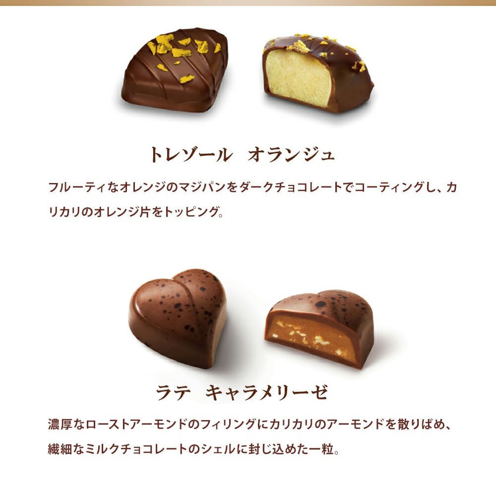 リンツ メートル・ショコラティエ セレクション 8P | リンツ